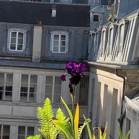 Marais Favorite Parigi